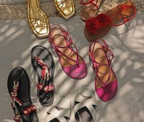 Schutz Ihrer Web site – BigScoots