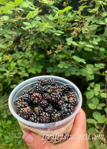 Brombeermarmelade – Die Traumstress