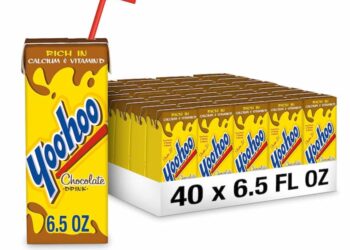 Yoo-Hoo Schokoladen-Getränkeboxen, 40er-Pack für nur 11 $ versandt!