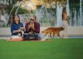 Ein Park für alle | Way of life-Mediengruppe