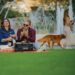 Ein Park für alle | Way of life-Mediengruppe