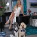 Gemeinschaft, Hunde und Rock & Roll
