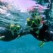 Was Sie beim Inselhüpfen im Tunku Abdul Rahman Marine Park erwartet