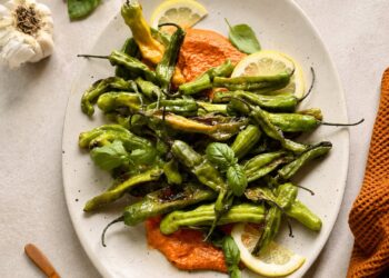 Shishito-Paprika mit Romesco sind die beste Vorspeise für den Sommer