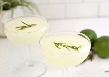 Klassischer Gimlet-Cocktail – ein wunderschönes Durcheinander